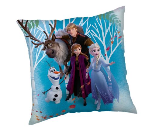 Disney Frozen Family pillow, decorative pillow 40x40 cm