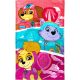 Paw Patrol Mighty Trio hand towel, face towel, towel 30x50cm