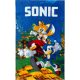 Sonic Speedy hedgehog hand towel, face towel, towel 30x50 cm