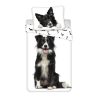 Dog Border Collie bedding cover 140×200cm, 70×90 cm