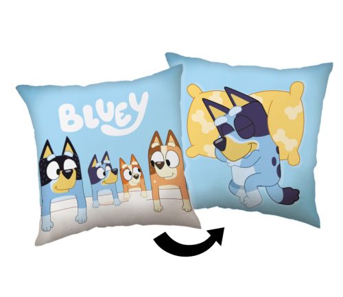 Bluey Sleep pillow, decorative pillow 40x40 cm