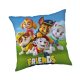 Paw Patrol Friends pillowcase 40x40 cm