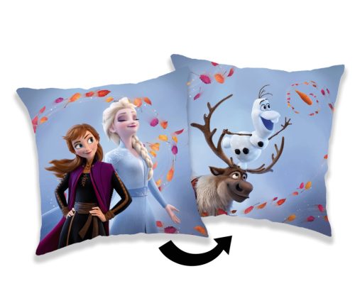 Disney Frozen Wind pillow, decorative pillow 40x40 cm