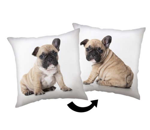 Dog Bulldog decorative pillow 40x40 cm