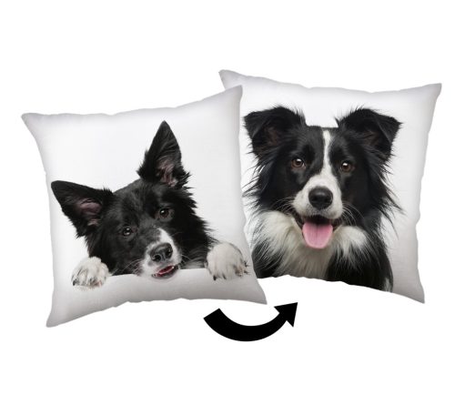 Dog Border Collie decorative pillow 40x40 cm