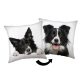 Dog Border Collie decorative pillow 40x40 cm