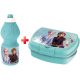 Disney Frozen Icebound  water bottle and sandwich box set