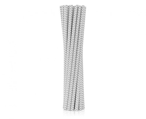 Colour Silver Silver Paper Straw 12 pcs