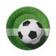 Football Field paper plate 6 pcs 18 cm