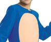 Sonic the Hedgehog Basic Costume 10-12 years