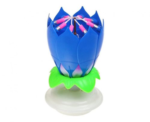 Colour Blue Blue Flower Musical Birthday Candle Set