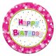 Happy Birthday Pink Happy Birthday paper plate 6 pack 18 cm