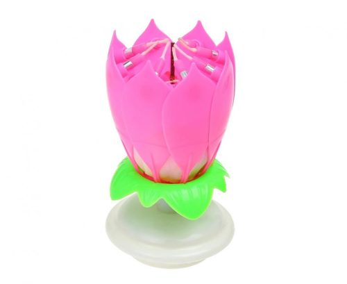 Colour Pink Pink Flower Musical Birthday Candle Set