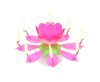 Colour Pink Pink Flower Musical Birthday Candle Set