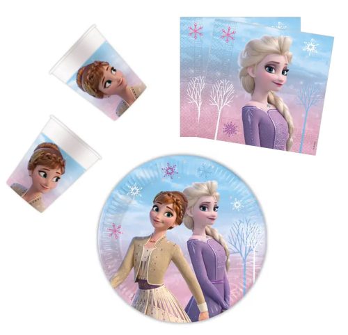 Disney Frozen Wind party set with 36 items and 23 cm plate