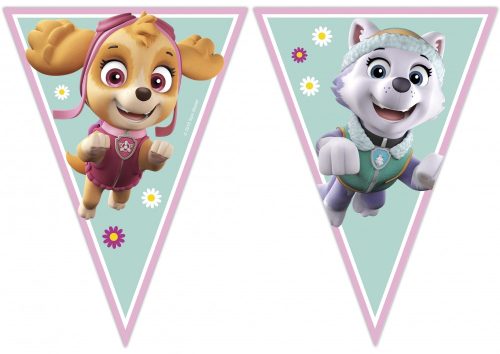 Paw Patrol Skye and Everest banner