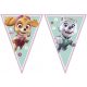 Paw Patrol Skye and Everest banner