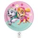 Paw Patrol Skye and Everest paper plate 8 pcs 23 cm FSC