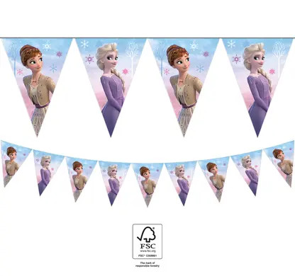 Disney Frozen Wind  flag garland FSC 2.3 m