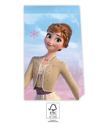 Disney Frozen Wind  paper bag 4-piece set FSC