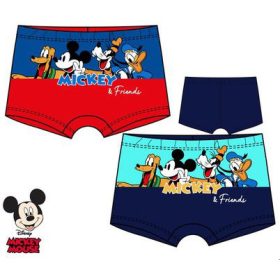 Disney Cars Baby Swimsuit, underwear 12-36 months - Javoli