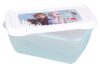 Disney Frozen plastic food container set of 3