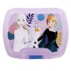 Disney Frozen Journey Premium plastic sandwich box